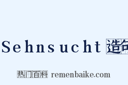 Sehnsucht造句是什么意思的图片